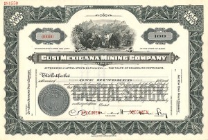 Cusi Mexicana Mining Co.